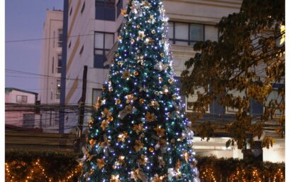 MaNU It’s Christmas – NUSG Official Christmas ID