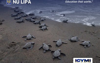 NU Lipa Leads Pawikan Conservation Effort in San Juan, Batangas